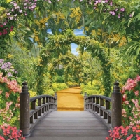  Tranh Dán Tường Phong Cảnh Thiên Nhiên Tiến Phát Decor Pctp72