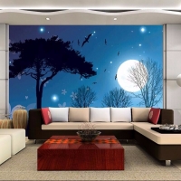  Tranh Dán Tường Bầu Trời Btd01