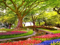  Tranh Dán Tường Phong Cảnh Thiên Nhiên Tiến Phát Decor Pctp09