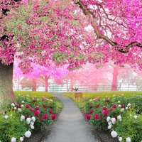  Tranh Dán Tường Phong Cảnh Thiên Nhiên Tiến Phát Decor Pctp10