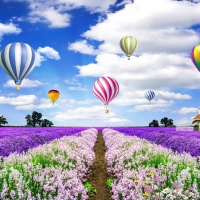 Tranh Dán Tường Phong Cảnh Thiên Nhiên Tiến Phát Decor Pctp11 Tranh Dán Tường Phong Cảnh Thiên Nhiên Tiến Phát Decor Pctp11