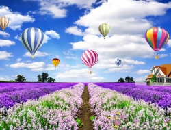  Tranh Dán Tường Phong Cảnh Thiên Nhiên Tiến Phát Decor Pctp11