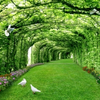 Tranh Dán Tường Phong Cảnh Thiên Nhiên Tiến Phát Decor Pctp15 Tranh Dán Tường Phong Cảnh Thiên Nhiên Tiến Phát Decor Pctp15