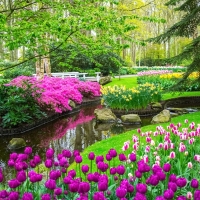 Tranh Dán Tường Phong Cảnh Thiên Nhiên Tiến Phát Decor Pctp17 Tranh Dán Tường Phong Cảnh Thiên Nhiên Tiến Phát Decor Pctp17