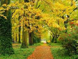 Tranh Dán Tường Phong Cảnh Thiên Nhiên Tiến Phát Decor Pctp25 Tranh Dán Tường Phong Cảnh Thiên Nhiên Tiến Phát Decor Pctp25