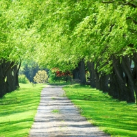 Tranh Dán Tường Phong Cảnh Thiên Nhiên Tiến Phát Decor Pctp29 Tranh Dán Tường Phong Cảnh Thiên Nhiên Tiến Phát Decor Pctp29