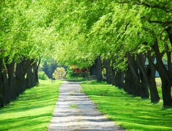 Tranh Dán Tường Phong Cảnh Thiên Nhiên Tiến Phát Decor Pctp29 Tranh Dán Tường Phong Cảnh Thiên Nhiên Tiến Phát Decor Pctp29