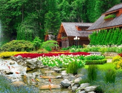 Tranh Dán Tường Phong Cảnh Thiên Nhiên Tiến Phát Decor Pctp31 Tranh Dán Tường Phong Cảnh Thiên Nhiên Tiến Phát Decor Pctp31