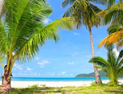 Tranh Dán Tường Phong Cảnh Thiên Nhiên Tiến Phát Decor Pctp32 Tranh Dán Tường Phong Cảnh Thiên Nhiên Tiến Phát Decor Pctp32