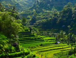 Tranh Dán Tường Phong Cảnh Thiên Nhiên Tiến Phát Decor Pctp33 Tranh Dán Tường Phong Cảnh Thiên Nhiên Tiến Phát Decor Pctp33