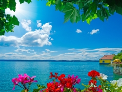 Tranh Dán Tường Phong Cảnh Thiên Nhiên Tiến Phát Decor Pctp37 Tranh Dán Tường Phong Cảnh Thiên Nhiên Tiến Phát Decor Pctp37