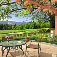 Tranh Dán Tường Phong Cảnh Thiên Nhiên Tiến Phát Decor Pctp38 Tranh Dán Tường Phong Cảnh Thiên Nhiên Tiến Phát Decor Pctp38