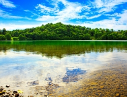 Tranh Dán Tường Phong Cảnh Thiên Nhiên Tiến Phát Decor Pctp40 Tranh Dán Tường Phong Cảnh Thiên Nhiên Tiến Phát Decor Pctp40