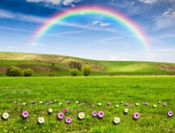 Tranh Dán Tường Phong Cảnh Thiên Nhiên Tiến Phát Decor Pctp41 Tranh Dán Tường Phong Cảnh Thiên Nhiên Tiến Phát Decor Pctp41