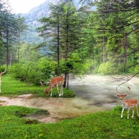 Tranh Dán Tường Phong Cảnh Thiên Nhiên Tiến Phát Decor Pctp52 Tranh Dán Tường Phong Cảnh Thiên Nhiên Tiến Phát Decor Pctp52