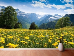 Tranh Dán Tường Phong Cảnh Thiên Nhiên PCTN64 Tranh Dán Tường Phong Cảnh Thiên Nhiên PCTN64