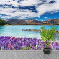 Tranh Dán Tường Phong Cảnh Thiên Nhiên PCTN66 Tranh Dán Tường Phong Cảnh Thiên Nhiên PCTN66