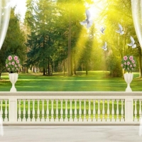 Tranh Dán Tường Cây Và Ánh Sáng Cvas04 Tranh Dán Tường Cây Và Ánh Sáng Cvas04