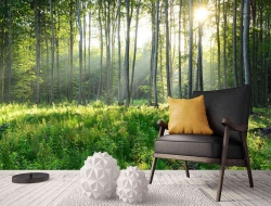  Tranh Dán Tường Phong Cảnh Thiên Nhiên PCTN04