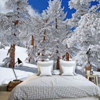  Tranh Dán Tường Phong Cảnh Thiên Nhiên PCTN10