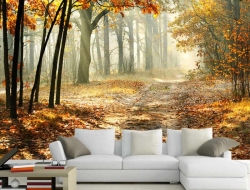 Tranh Dán Tường Phong Cảnh Thiên Nhiên PCTN12 Tranh Dán Tường Phong Cảnh Thiên Nhiên PCTN12