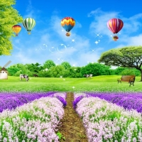 Tranh Dán Tường Phòng Khách PK505