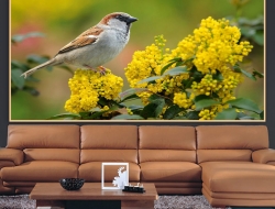 Tranh Dán Tường Phòng Khách PK516