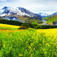 Tranh Dán Tường Phòng Khách PK513 Tranh Dán Tường Phòng Khách PK513