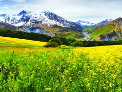 Tranh Dán Tường Phòng Khách PK513