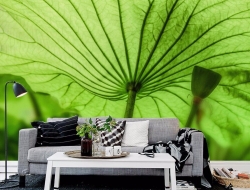 Tranh Dán Tường Lá Sen Ls02