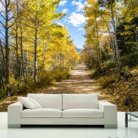 Tranh Dán Tường Phòng Khách PK125