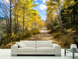 Tranh Dán Tường Phòng Khách PK125