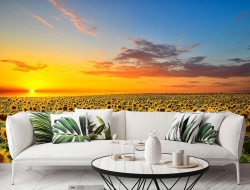 Tranh Dán Tường Phòng Khách PK126