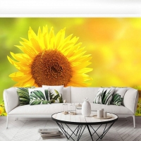 Tranh Dán Tường Phòng Khách PK139