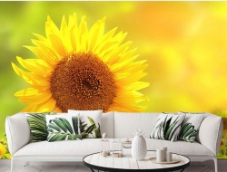 Tranh Dán Tường Phòng Khách PK139