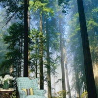 Tranh Dán Tường Phòng Khách PK216