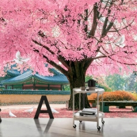 Tranh Dán Tường Phòng Khách PK239 Tranh Dán Tường Phòng Khách PK239