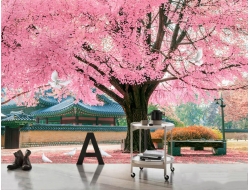 Tranh Dán Tường Phòng Khách PK239