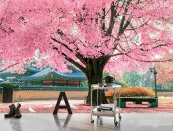 Tranh Dán Tường Phòng Khách PK239 Tranh Dán Tường Phòng Khách PK239