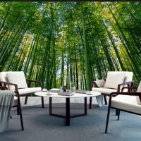 Tranh Dán Tường Phòng Khách PK240