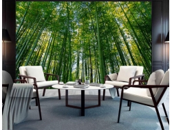 Tranh Dán Tường Phòng Khách PK240