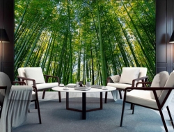 Tranh Dán Tường Phòng Khách PK240 Tranh Dán Tường Phòng Khách PK240