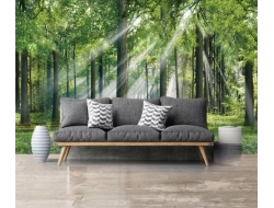 Tranh Dán Tường Phòng Khách PK241