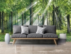 Tranh Dán Tường Phòng Khách PK241 Tranh Dán Tường Phòng Khách PK241