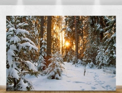 Tranh Dán Tường Phòng Khách PK257 Tranh Dán Tường Phòng Khách PK257