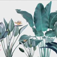 Tranh Dán Tường Phòng Khách PK36