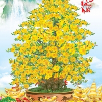 Tranh Dán Tường Phòng Khách PK418 Tranh Dán Tường Phòng Khách PK418