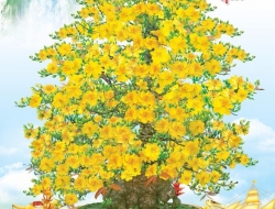 Tranh Dán Tường Phòng Khách PK418