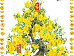 Tranh Dán Tường Phòng Khách PK419