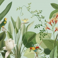 Tranh Dán Tường Phòng Khách PK43 Tranh Dán Tường Phòng Khách PK43